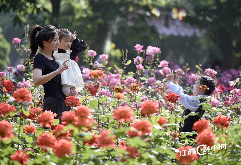 微信苹果版7.0.8:江苏24小时·滚动推送｜扬州市：“幸福江苏”群众性赛事活动开幕-第27张图片-太平洋在线下载