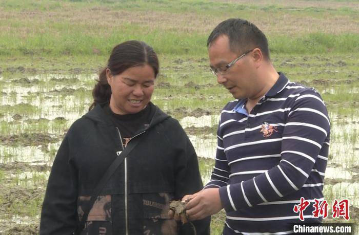 手机应用软件:湖南祁阳让农田“吃”上定制“营养餐”-第3张图片-太平洋在线下载