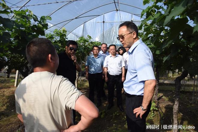 崇阳掌心麻将下载苹果版武穴掌心麻将圈app下载